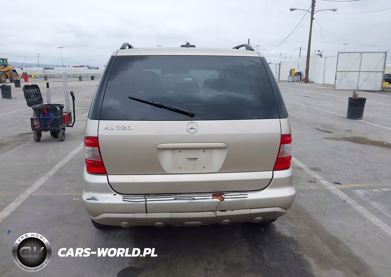 2002 Mercedes-Benz Ml 320 VIN:4JGAB54E72A338117 - 16