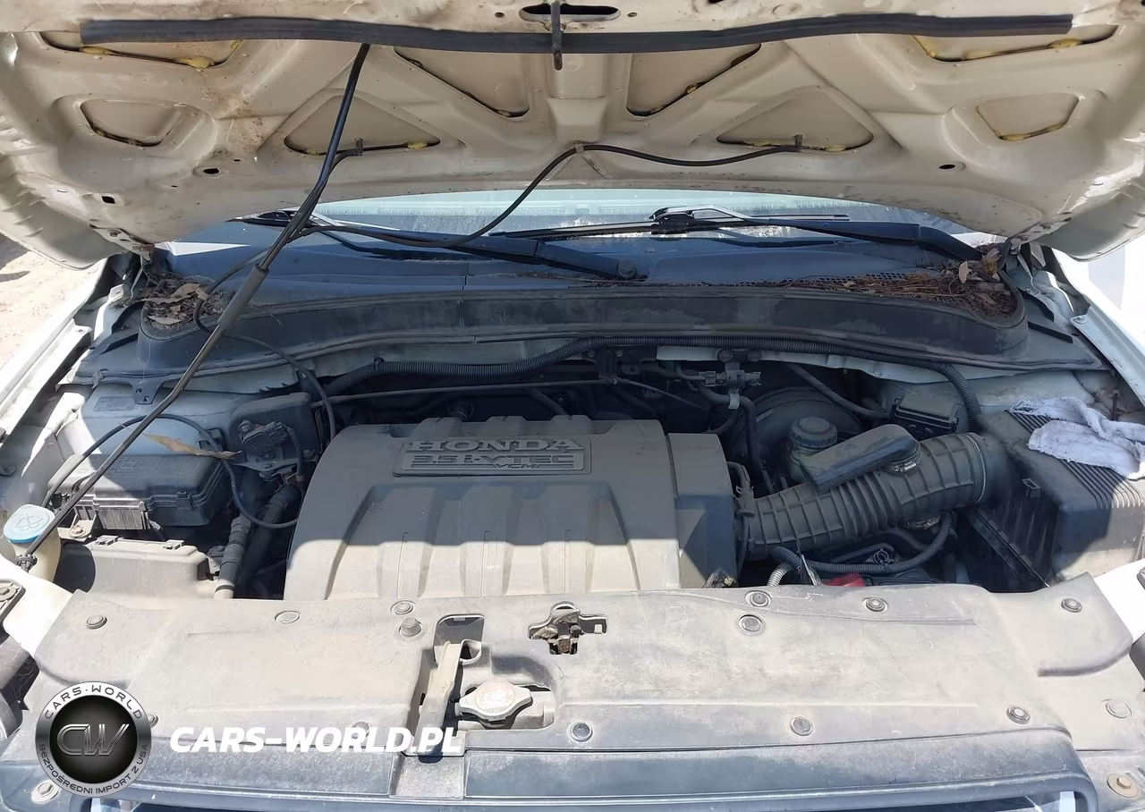2006 Honda Pilot Ex VIN:5FNYF28496B024005 - 10