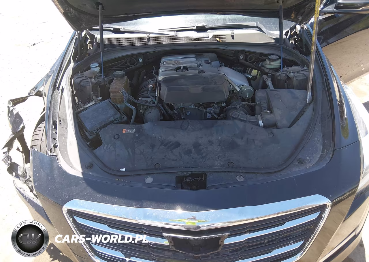 2014 Cadillac Cts Luxury VIN:1G6AR5SX7E0141479 - 10