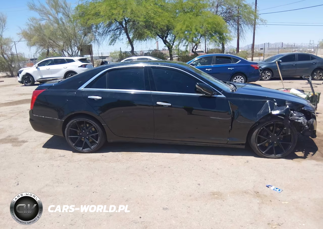 2014 Cadillac Cts Luxury VIN:1G6AR5SX7E0141479 - 12