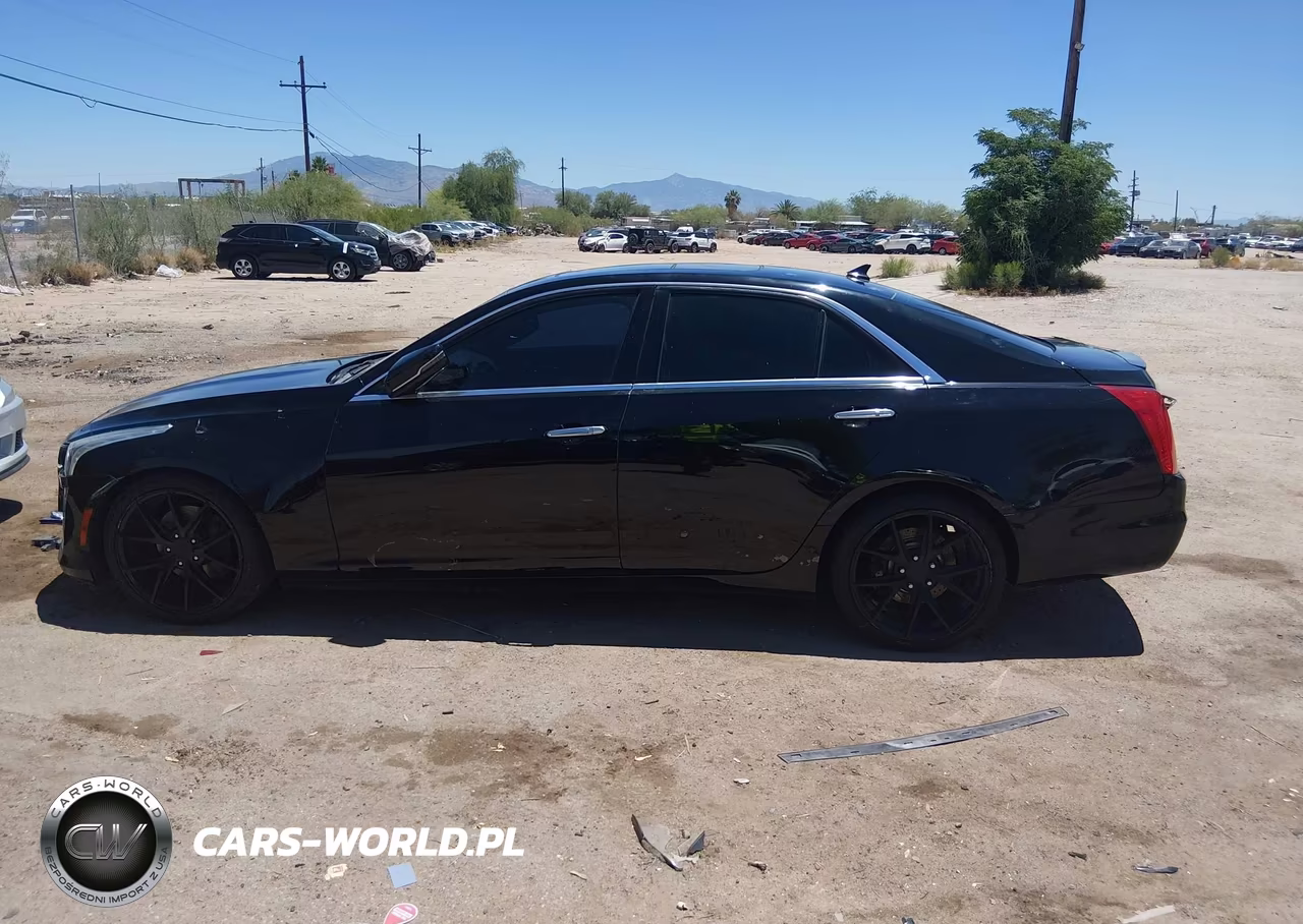 2014 Cadillac Cts Luxury VIN:1G6AR5SX7E0141479 - 13