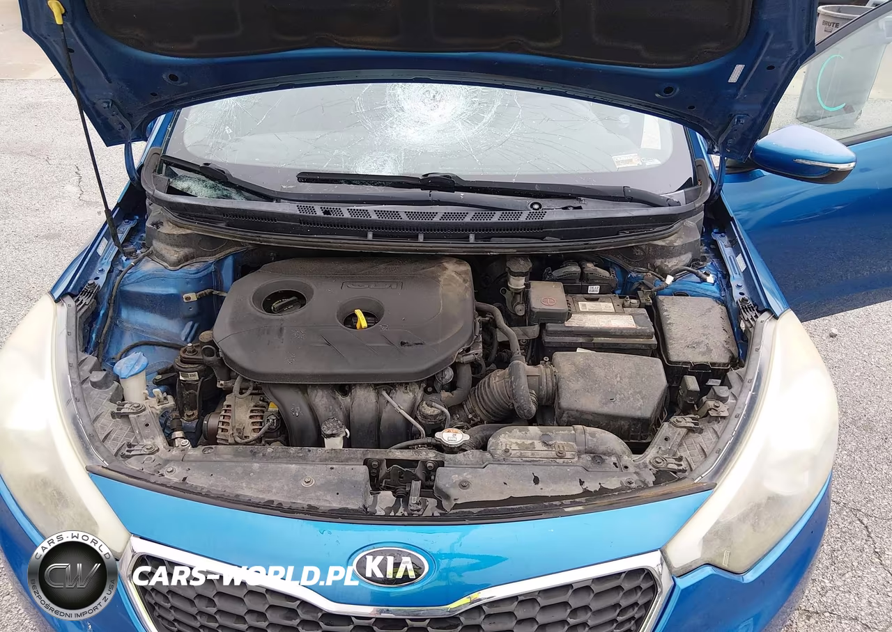 2014 Kia Forte Lx VIN:KNAFX4A6XE5079751 - 10