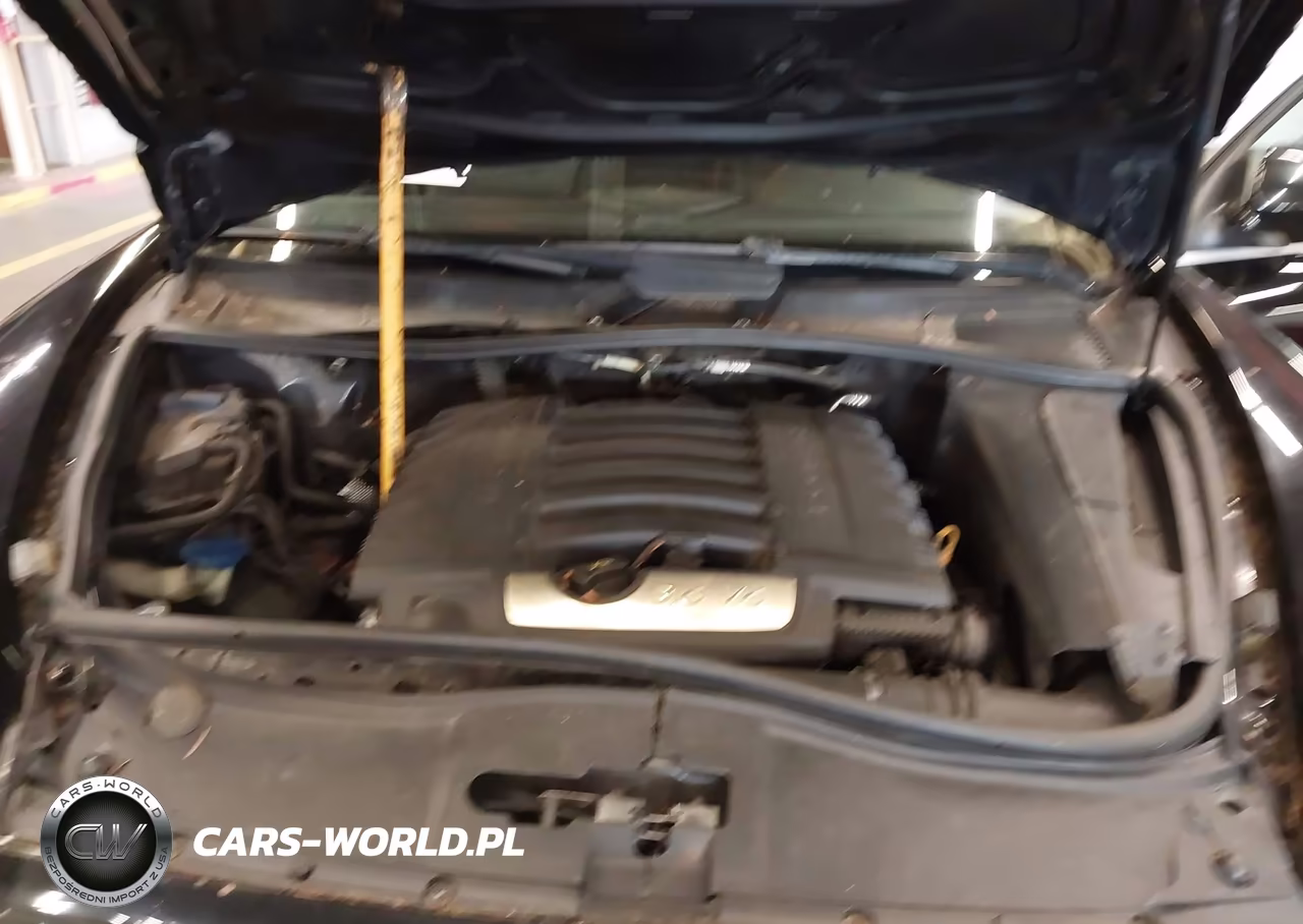 2009 Porsche Cayenne VIN:WP1AA29P69LA03945 - 10