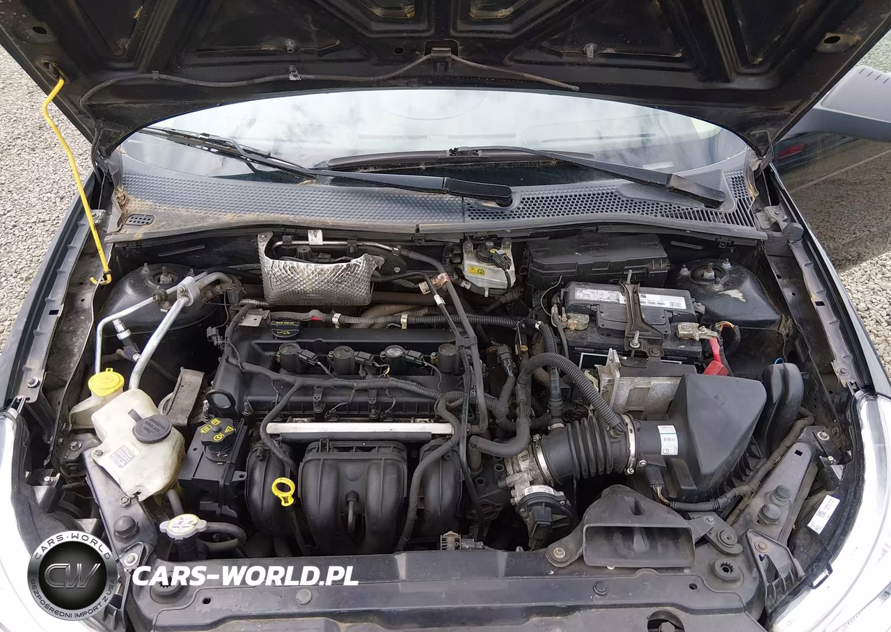 2010 Ford Focus S VIN:1FAHP3EN2AW135439 - 10