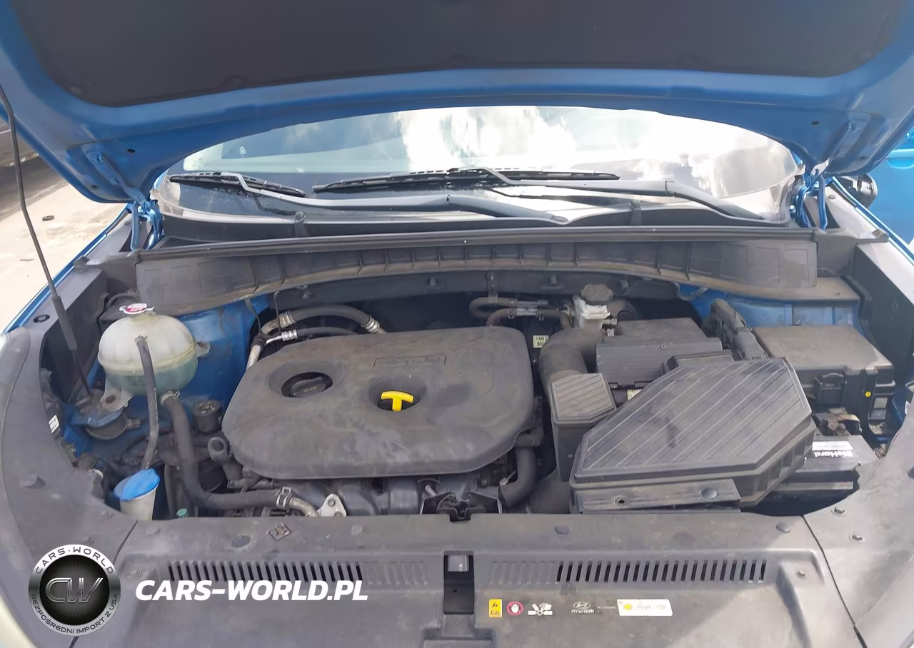 2017 Hyundai Tucson Limited-Sport And Eco-Se VIN:KM8J33A42HU498037 - 10
