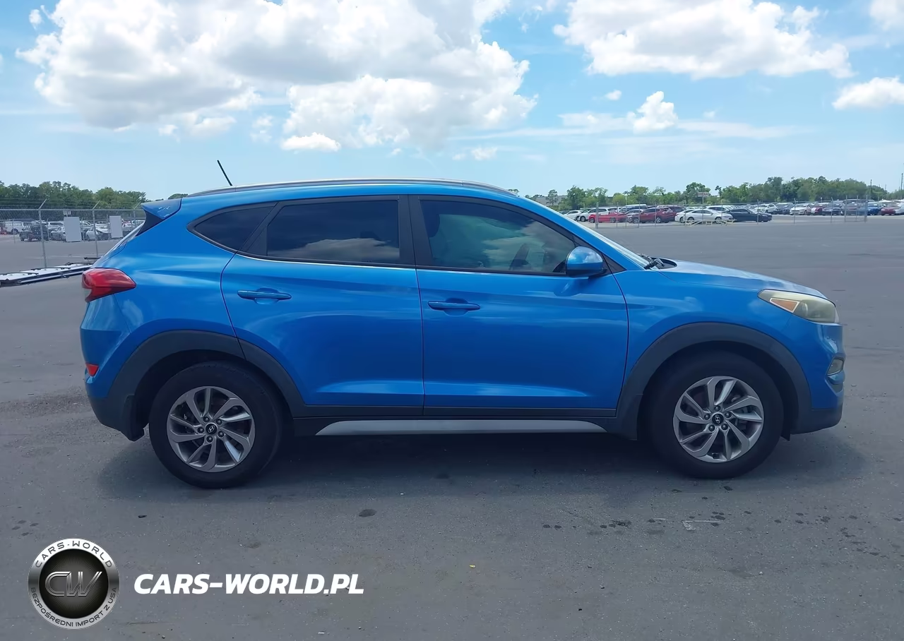 2017 Hyundai Tucson Limited-Sport And Eco-Se VIN:KM8J33A42HU498037 - 13