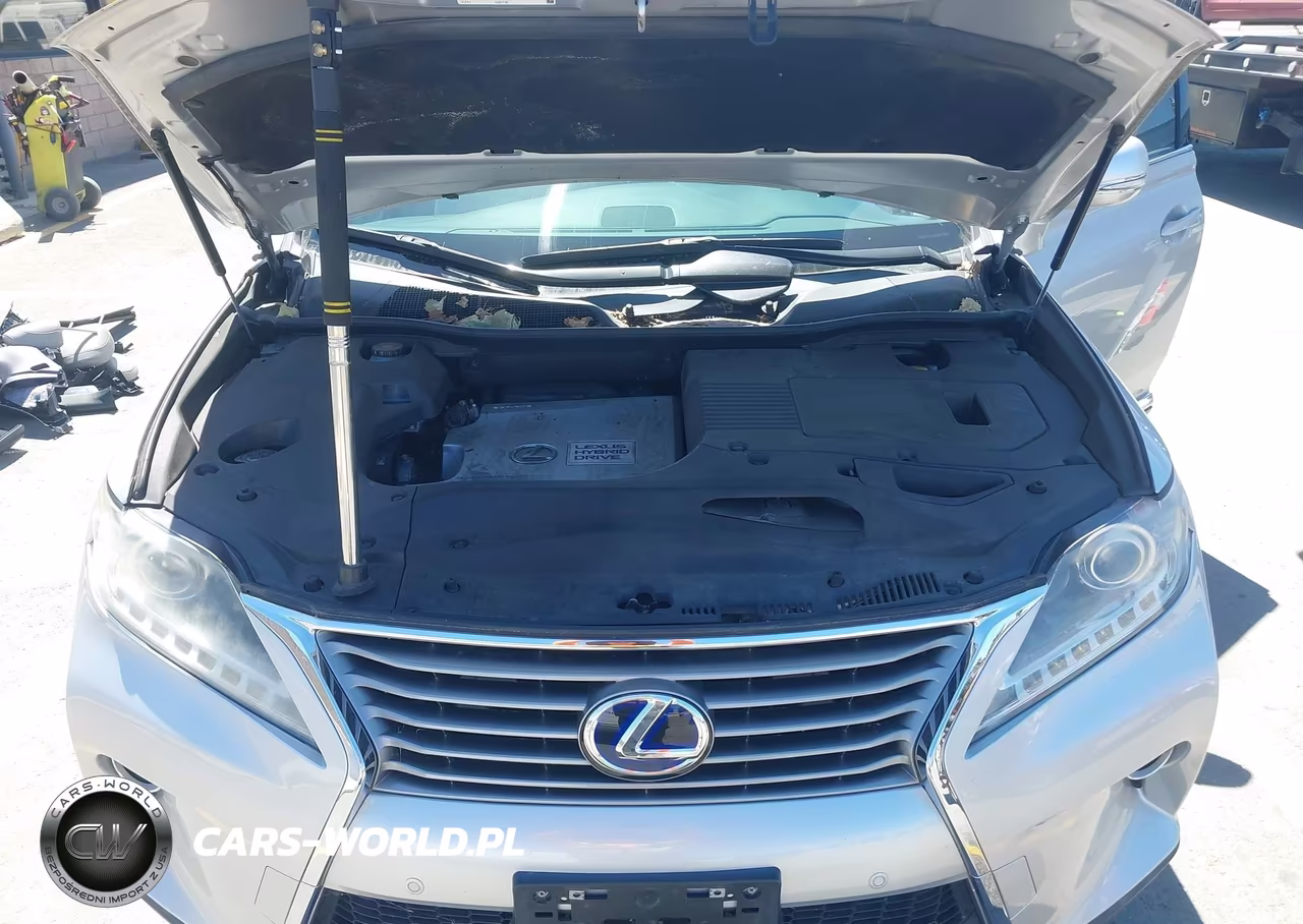 2015 Lexus Rx 450H VIN:2T2BC1BA3FC001519 - 10
