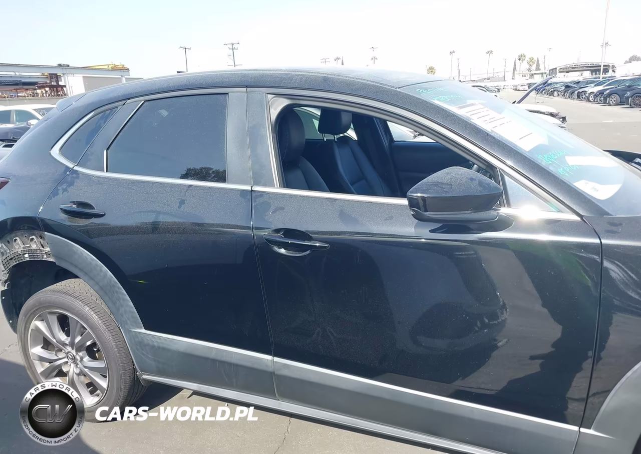 2020 Mazda Cx-30 Preferred Package VIN:3MVDMADL3LM134503 - 14