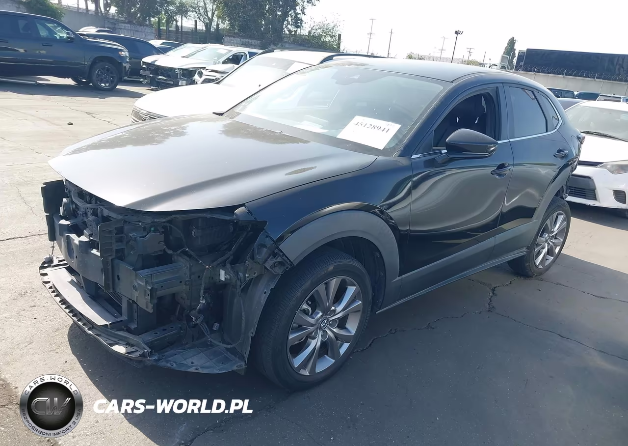 2020 Mazda Cx-30 Preferred Package VIN:3MVDMADL3LM134503 - 2