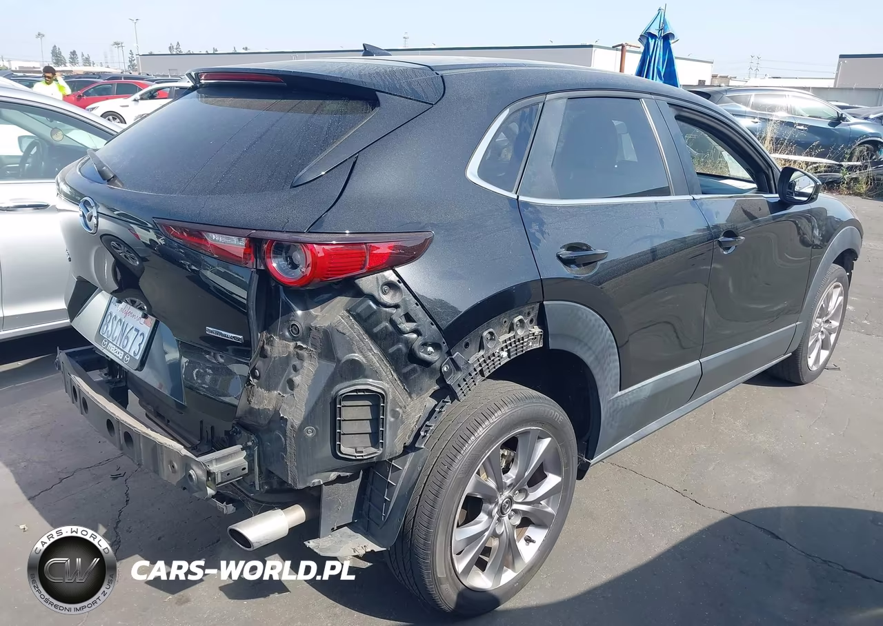 2020 Mazda Cx-30 Preferred Package VIN:3MVDMADL3LM134503 - 4