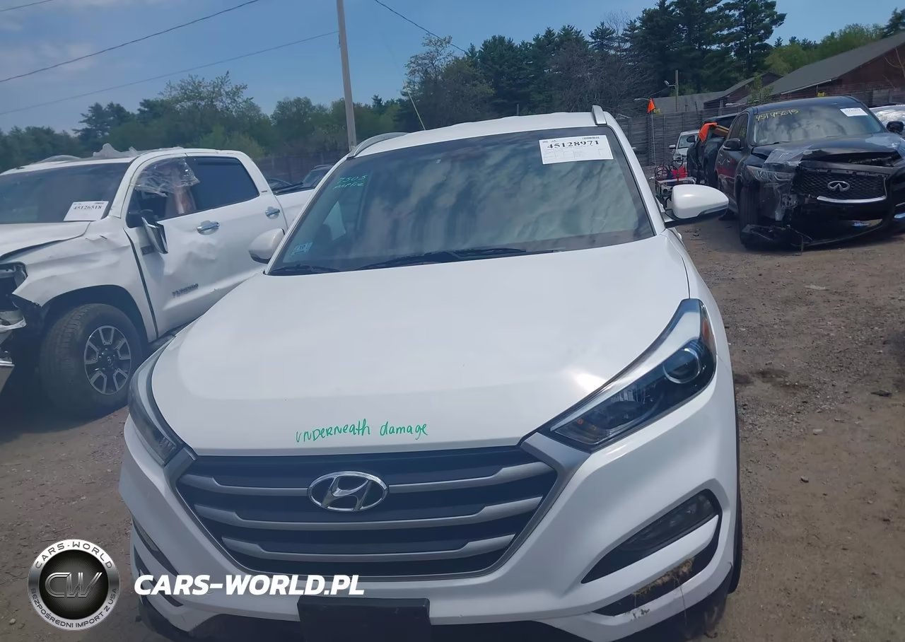 2017 Hyundai Tucson Sport VIN:KM8J3CA21HU409704 - 12