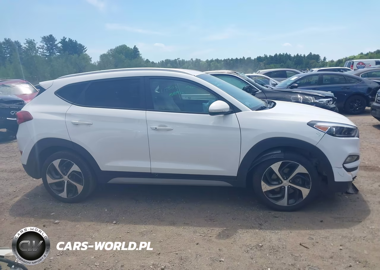 2017 Hyundai Tucson Sport VIN:KM8J3CA21HU409704 - 13