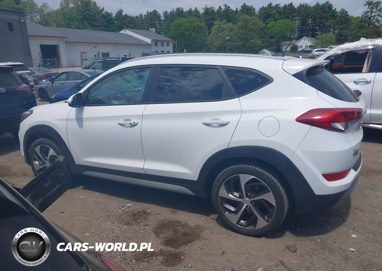 2017 Hyundai Tucson Sport VIN:KM8J3CA21HU409704 - 14