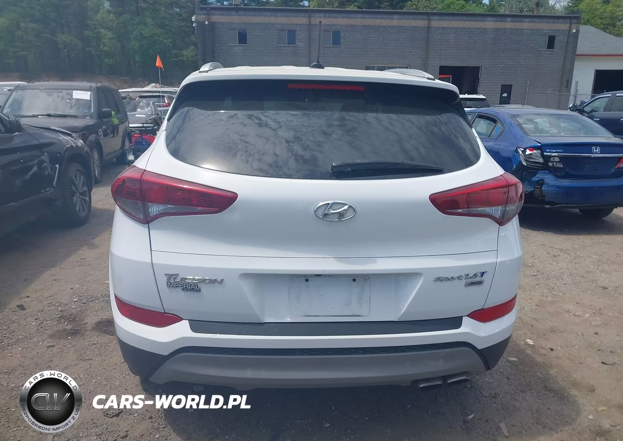2017 Hyundai Tucson Sport VIN:KM8J3CA21HU409704 - 16