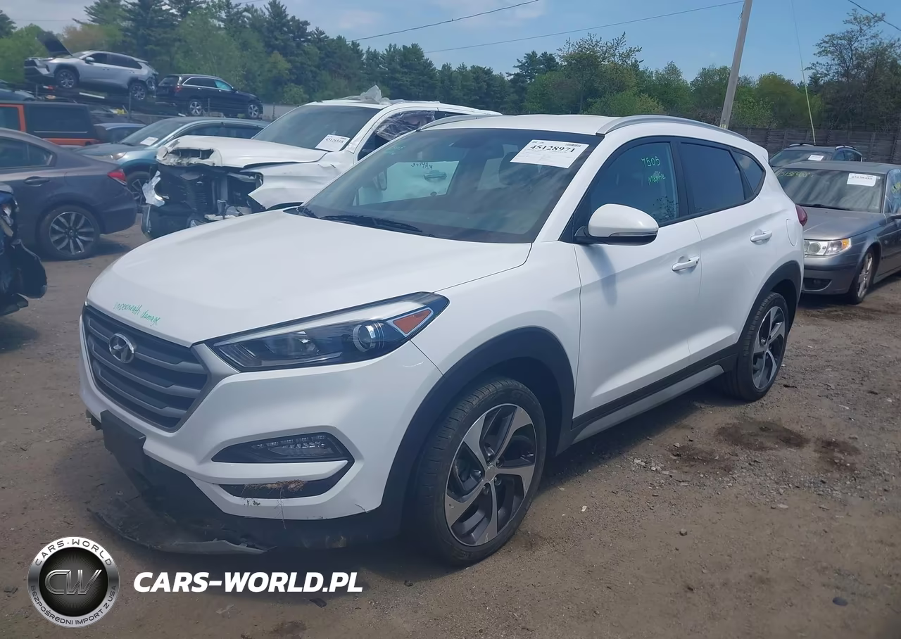 2017 Hyundai Tucson Sport VIN:KM8J3CA21HU409704 - 2