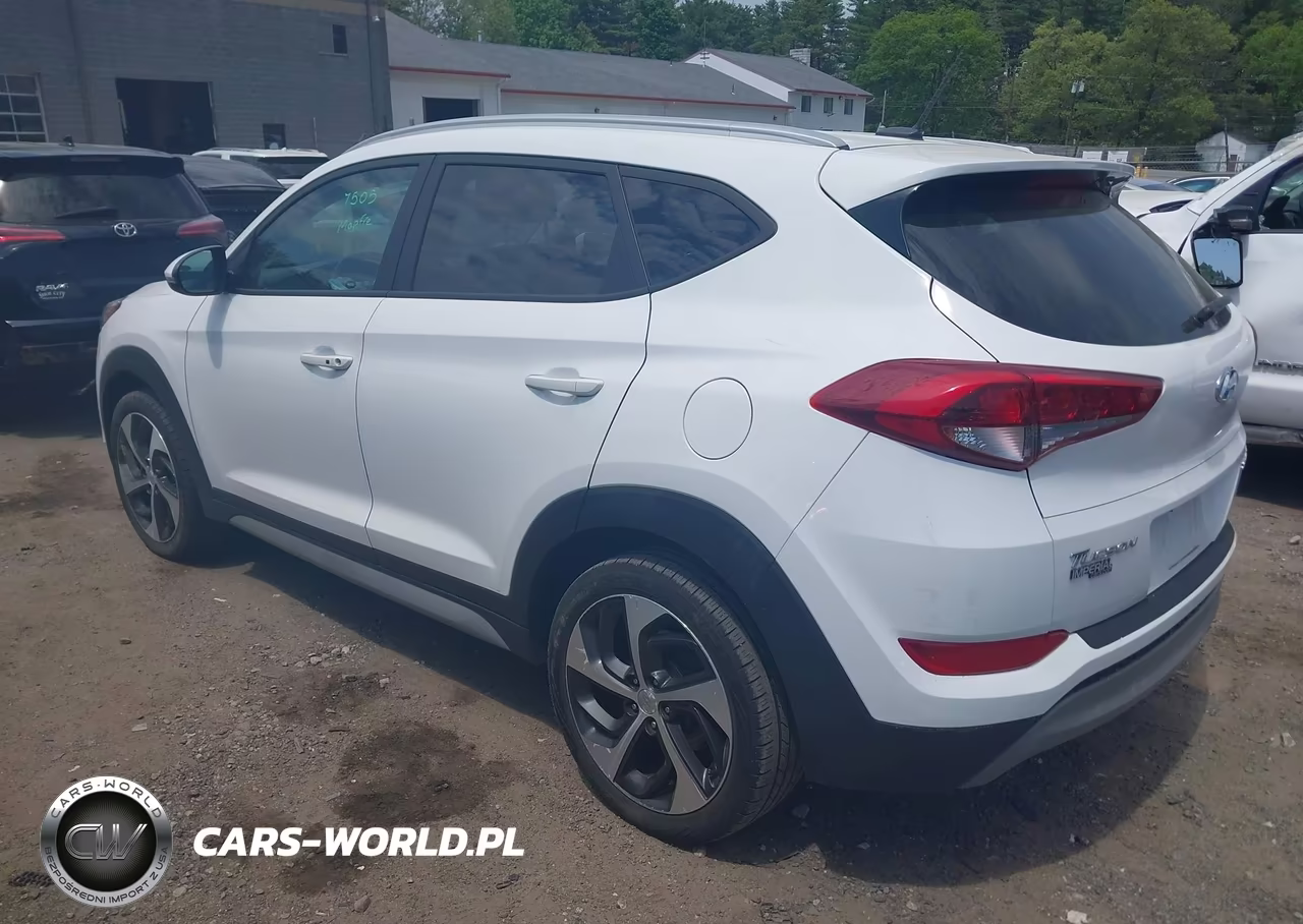 2017 Hyundai Tucson Sport VIN:KM8J3CA21HU409704 - 3