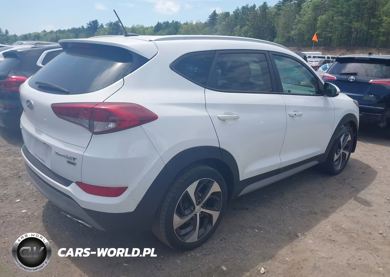 2017 Hyundai Tucson Sport VIN:KM8J3CA21HU409704 - 4