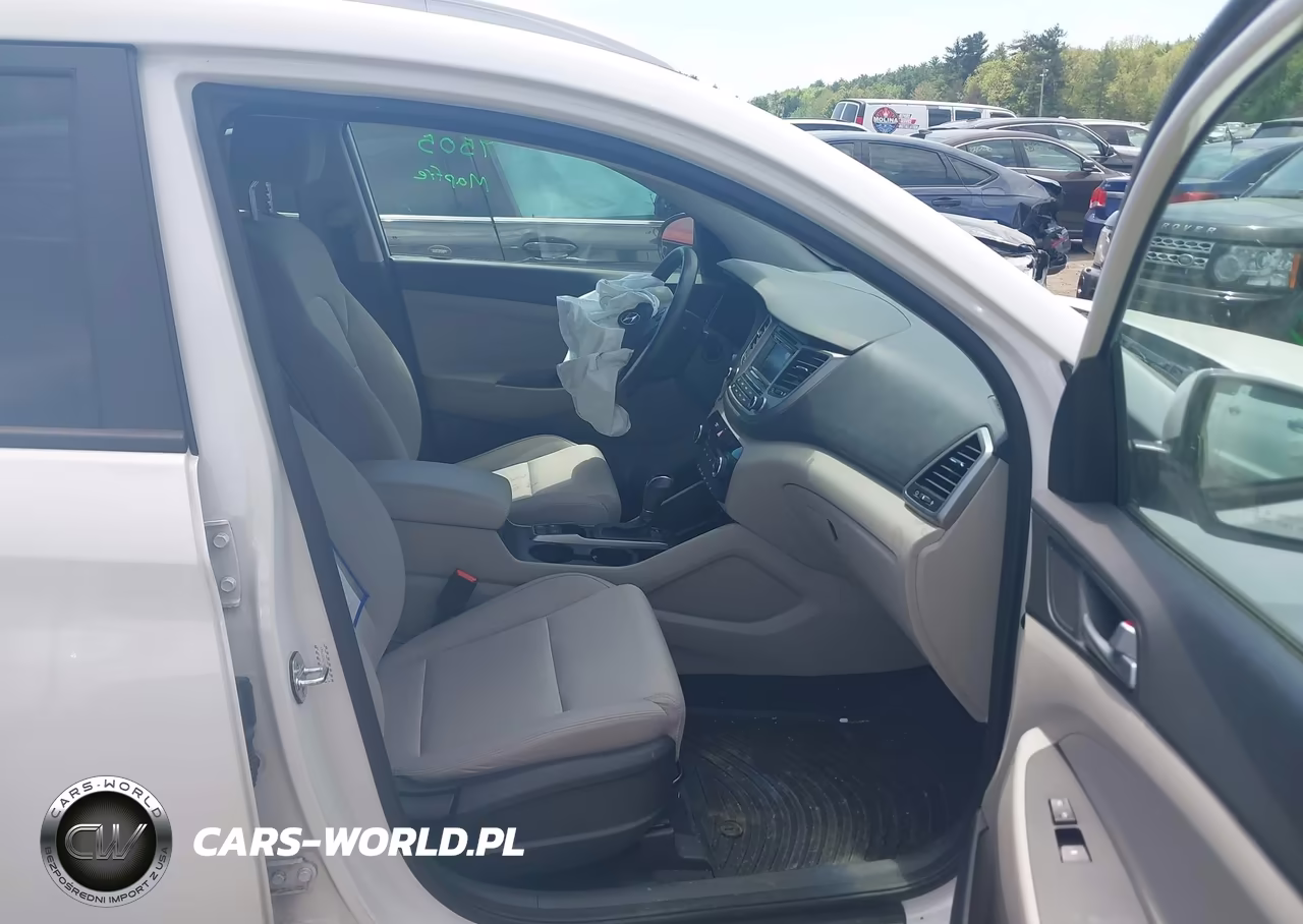 2017 Hyundai Tucson Sport VIN:KM8J3CA21HU409704 - 5