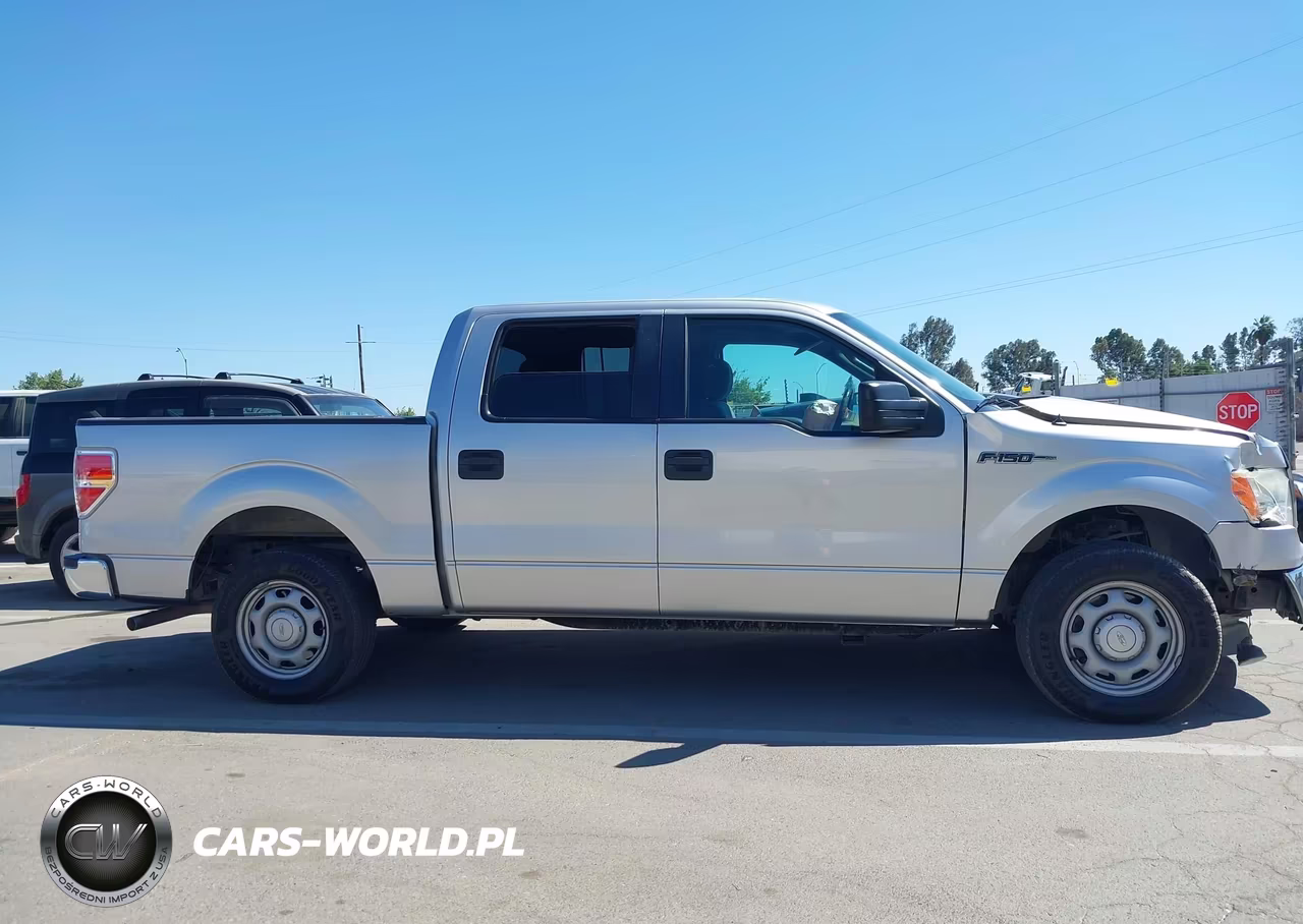 2013 Ford F-150 Xlt VIN:1FTEW1CMXDFE06492 - 13
