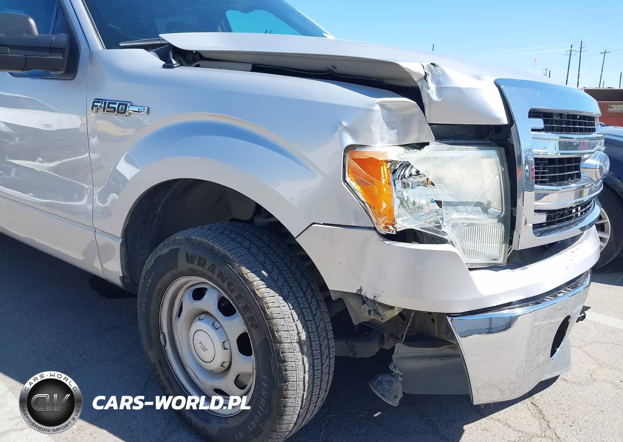 2013 Ford F-150 Xlt VIN:1FTEW1CMXDFE06492 - 18