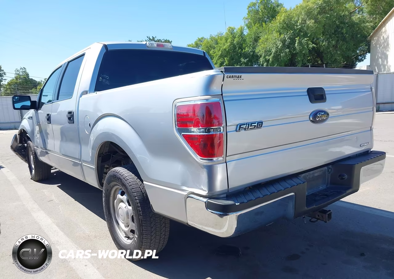 2013 Ford F-150 Xlt VIN:1FTEW1CMXDFE06492 - 3