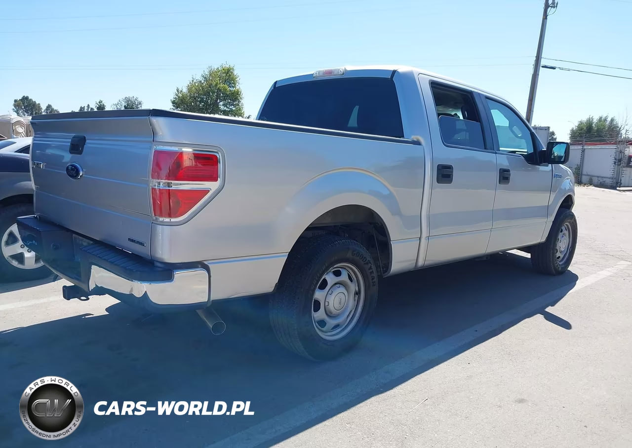 2013 Ford F-150 Xlt VIN:1FTEW1CMXDFE06492 - 4