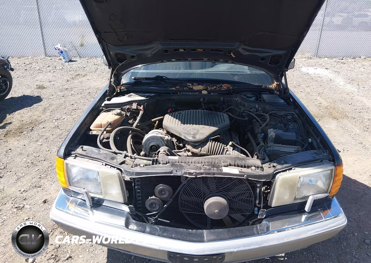 1987 Mercedes-Benz 420 Sel VIN:WDBCA35D5HA346301 - 10