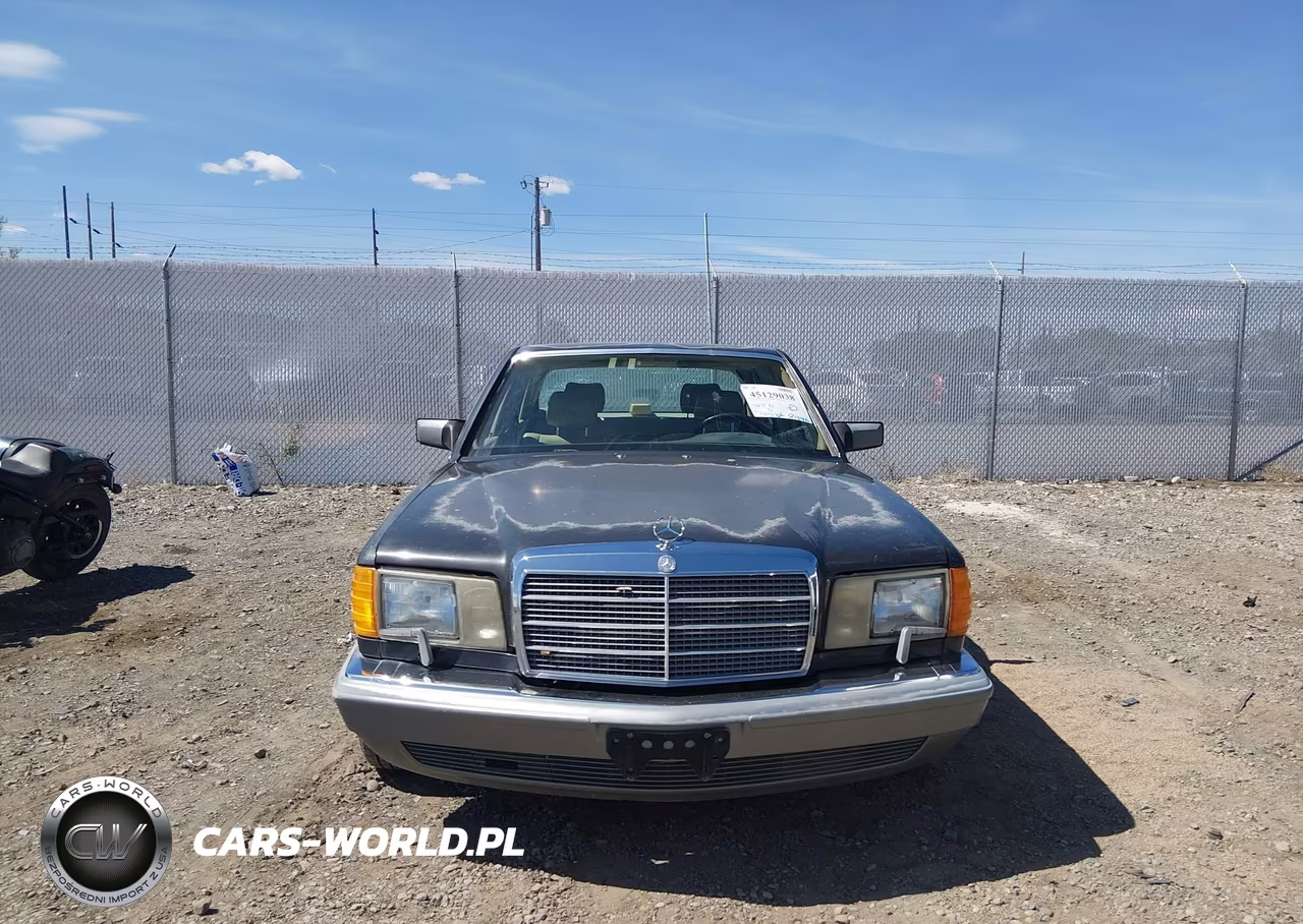 1987 Mercedes-Benz 420 Sel VIN:WDBCA35D5HA346301 - 6