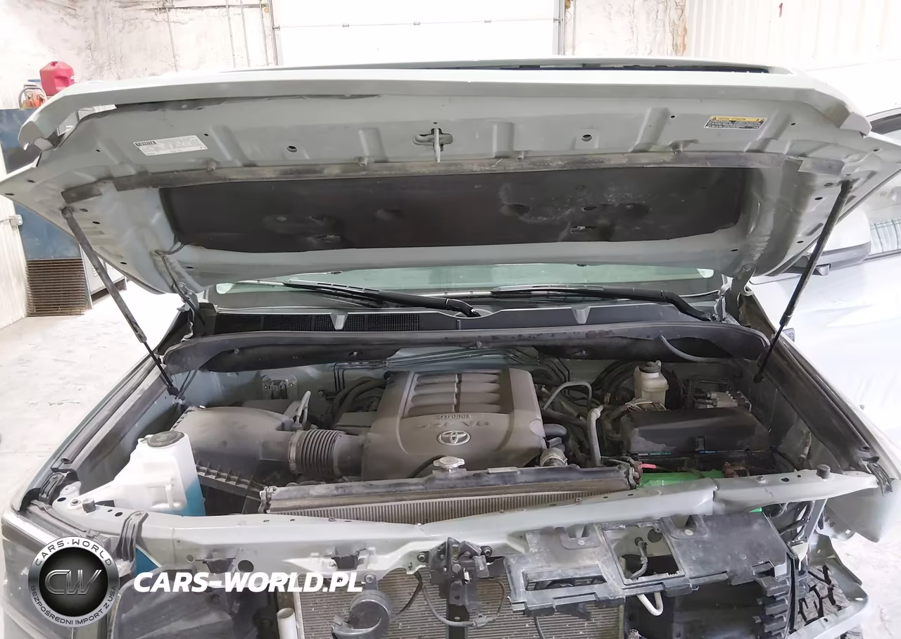 2021 Toyota Tundra Trd Pro VIN:5TFDY5F15MX048856 - 10