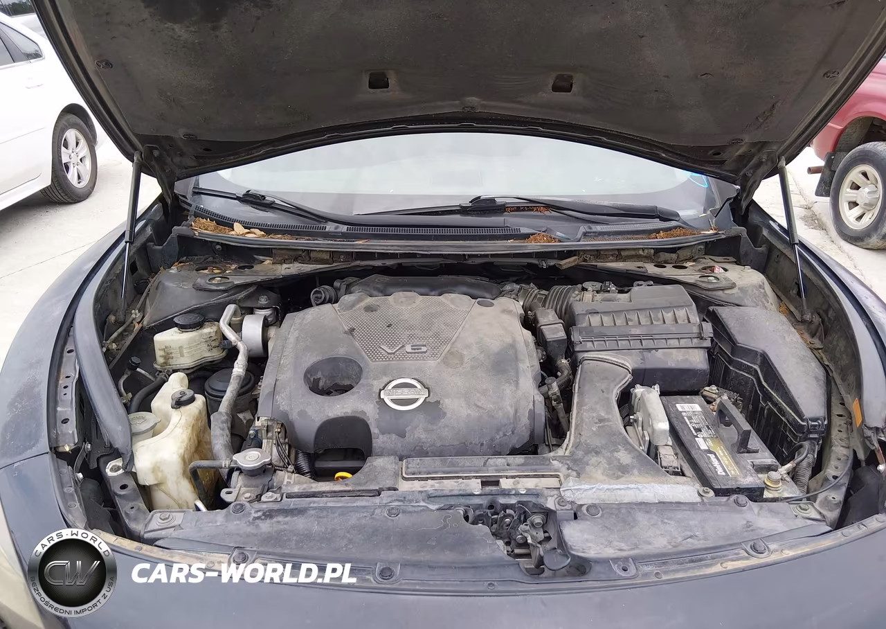 2009 Nissan Maxima 3.5 Sv VIN:1N4AA51E49C823413 - 10