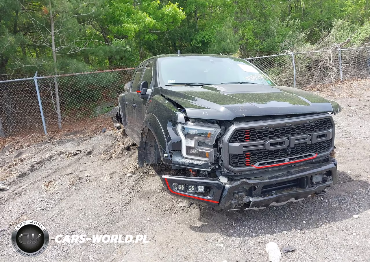 2019 Ford F-150 Raptor – zdjęcie 1 z 11