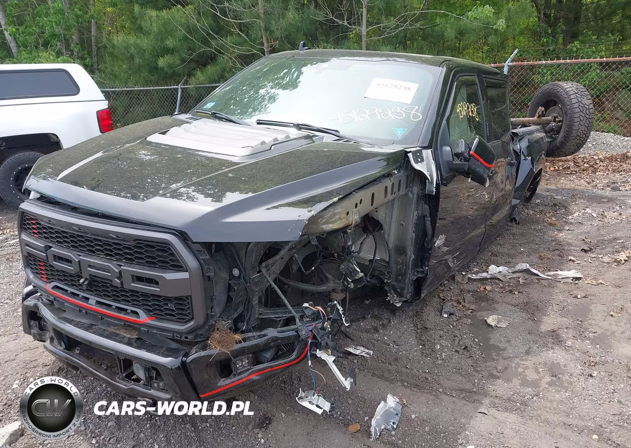 2019 Ford F-150 Raptor VIN:1FTFW1RG6KFC32472 - 6