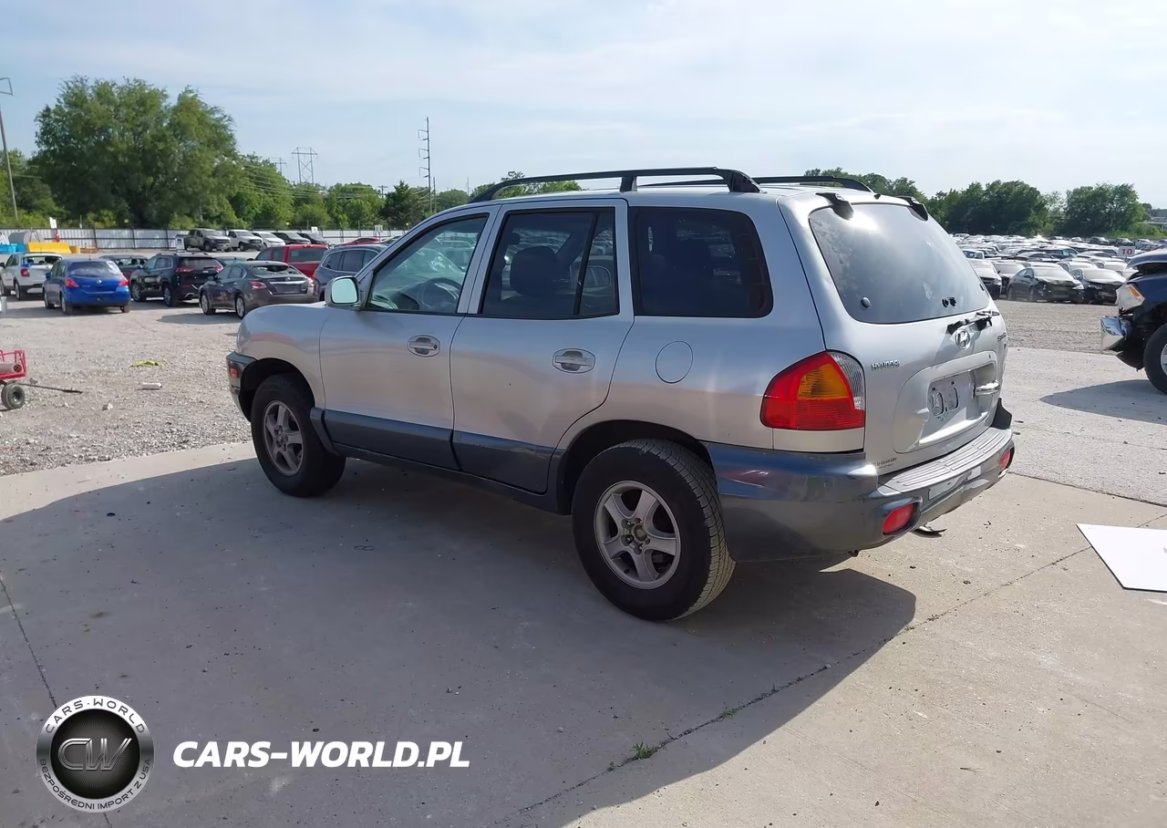 2003 Hyundai Santa Fe Gls-Lx VIN:KM8SC13D13U494902 - 3
