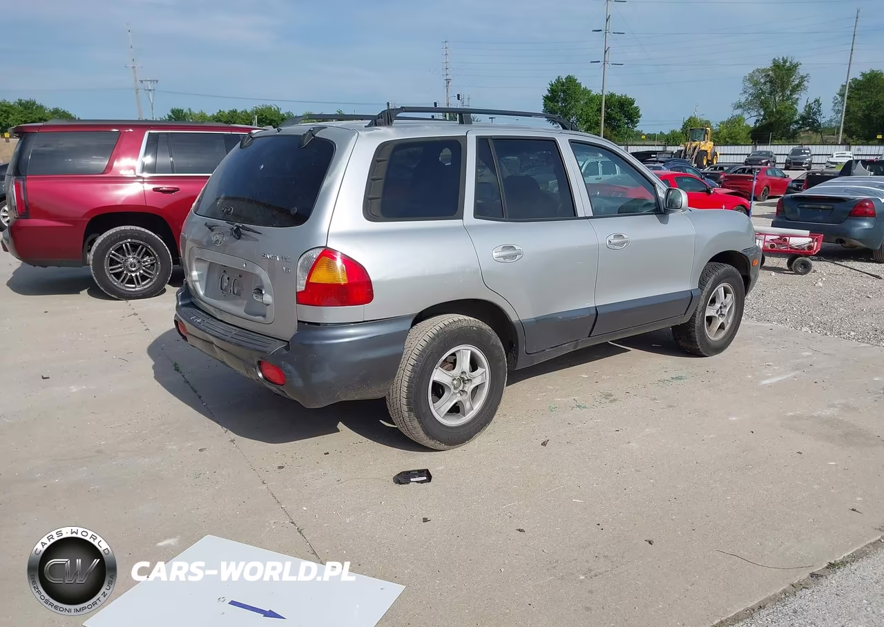 2003 Hyundai Santa Fe Gls-Lx VIN:KM8SC13D13U494902 - 4