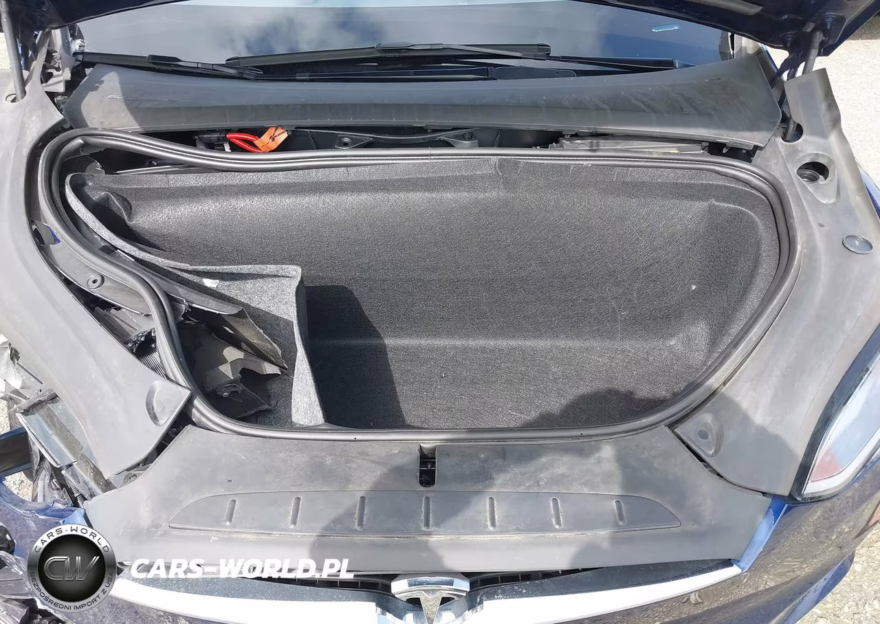 2018 Tesla Model X 100D-75D-P100D VIN:5YJXCDE2XJF142415 - 10