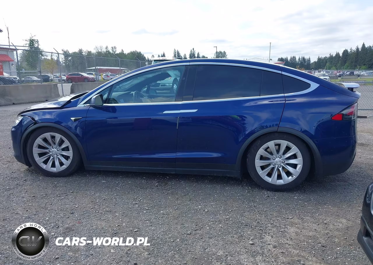 2018 Tesla Model X 100D-75D-P100D VIN:5YJXCDE2XJF142415 - 13