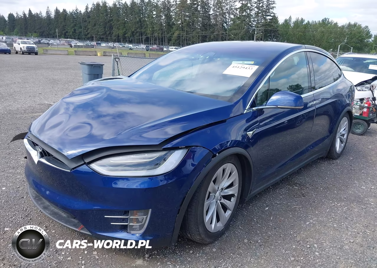 2018 Tesla Model X 100D-75D-P100D VIN:5YJXCDE2XJF142415 - 2