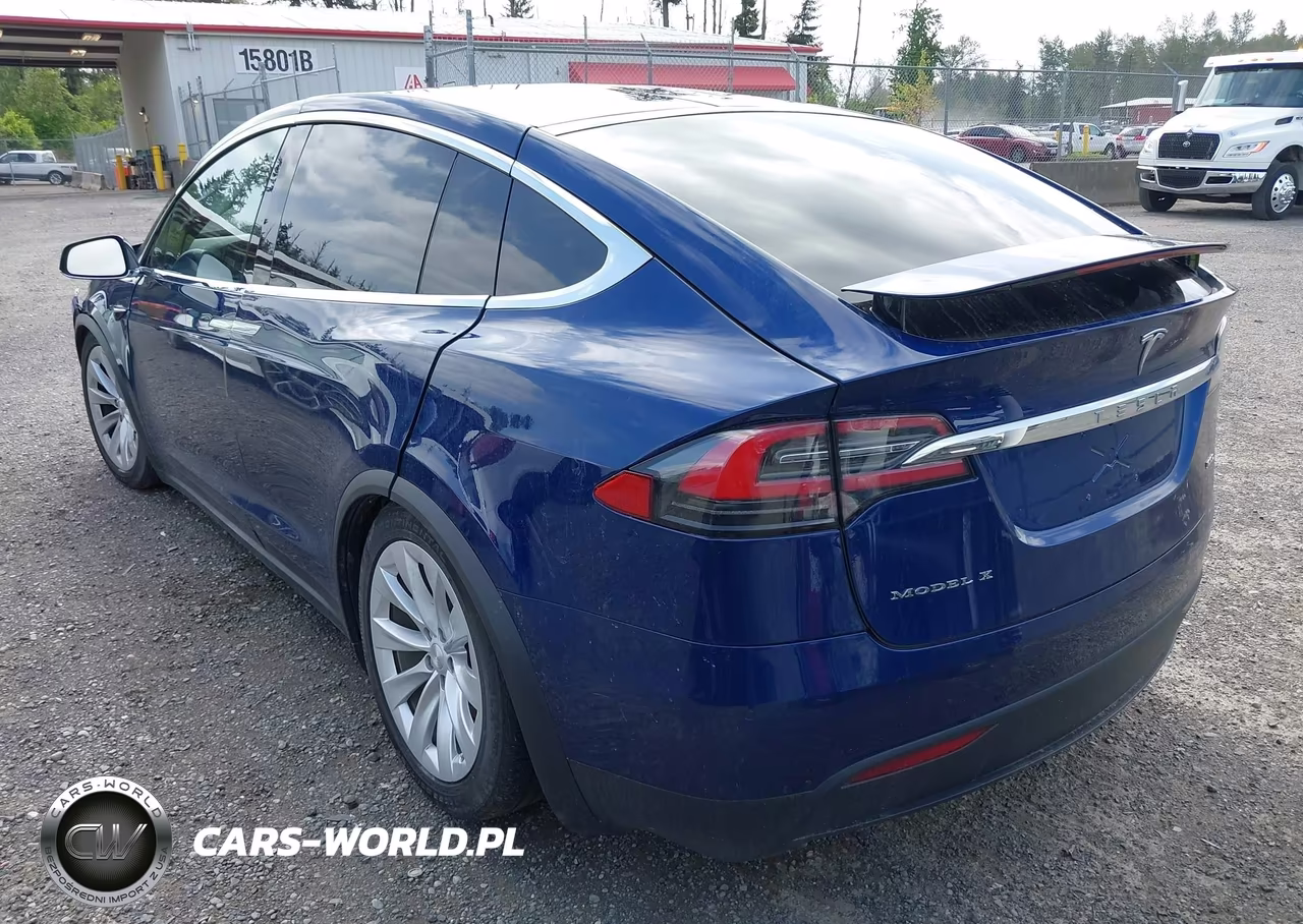 2018 Tesla Model X 100D-75D-P100D VIN:5YJXCDE2XJF142415 - 3