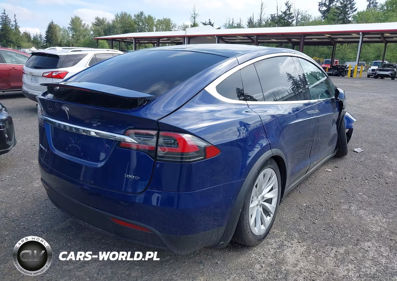 2018 Tesla Model X 100D-75D-P100D VIN:5YJXCDE2XJF142415 - 4