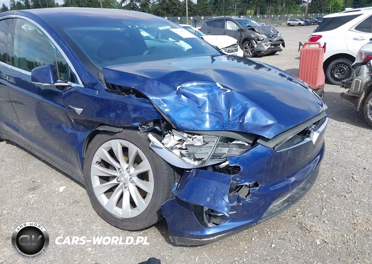2018 Tesla Model X 100D-75D-P100D VIN:5YJXCDE2XJF142415 - 6