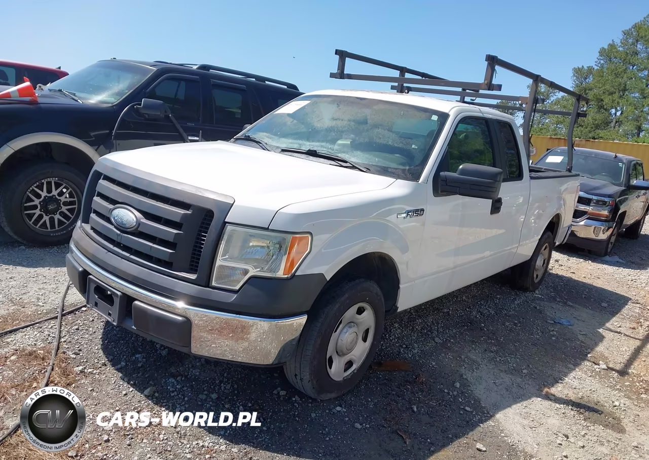 2009 Ford F-150 Stx-Xl VIN:1FTRX12W19FA28071 - 2