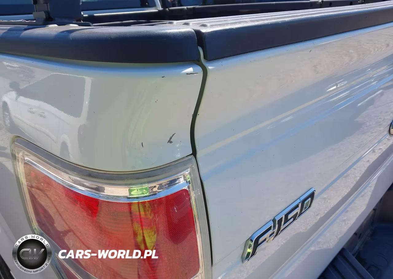 2009 Ford F-150 Stx-Xl VIN:1FTRX12W19FA28071 - 6