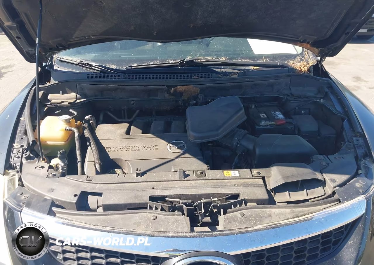 2009 Mazda Cx-9 Grand Touring VIN:JM3TB28A790178105 - 10