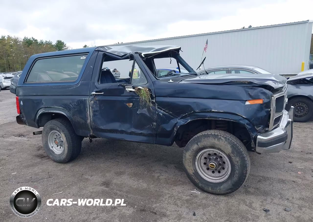 1986 Ford Bronco U100 VIN:1FMEU15HXGLB17197 - 12