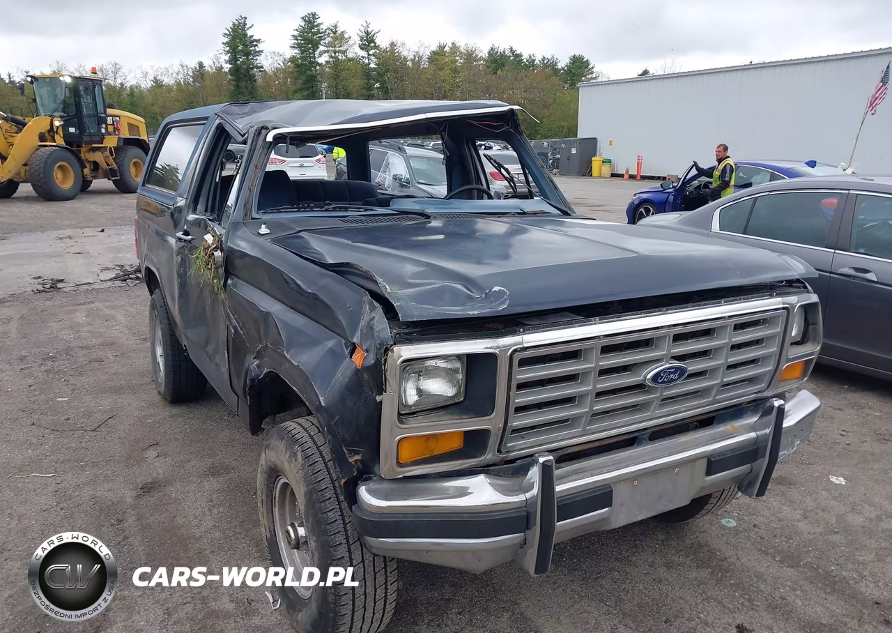 1986 Ford Bronco U100 VIN:1FMEU15HXGLB17197 - 14