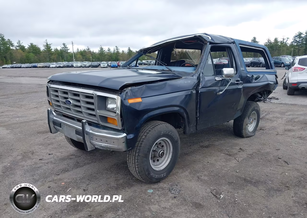 1986 Ford Bronco U100 VIN:1FMEU15HXGLB17197 - 2