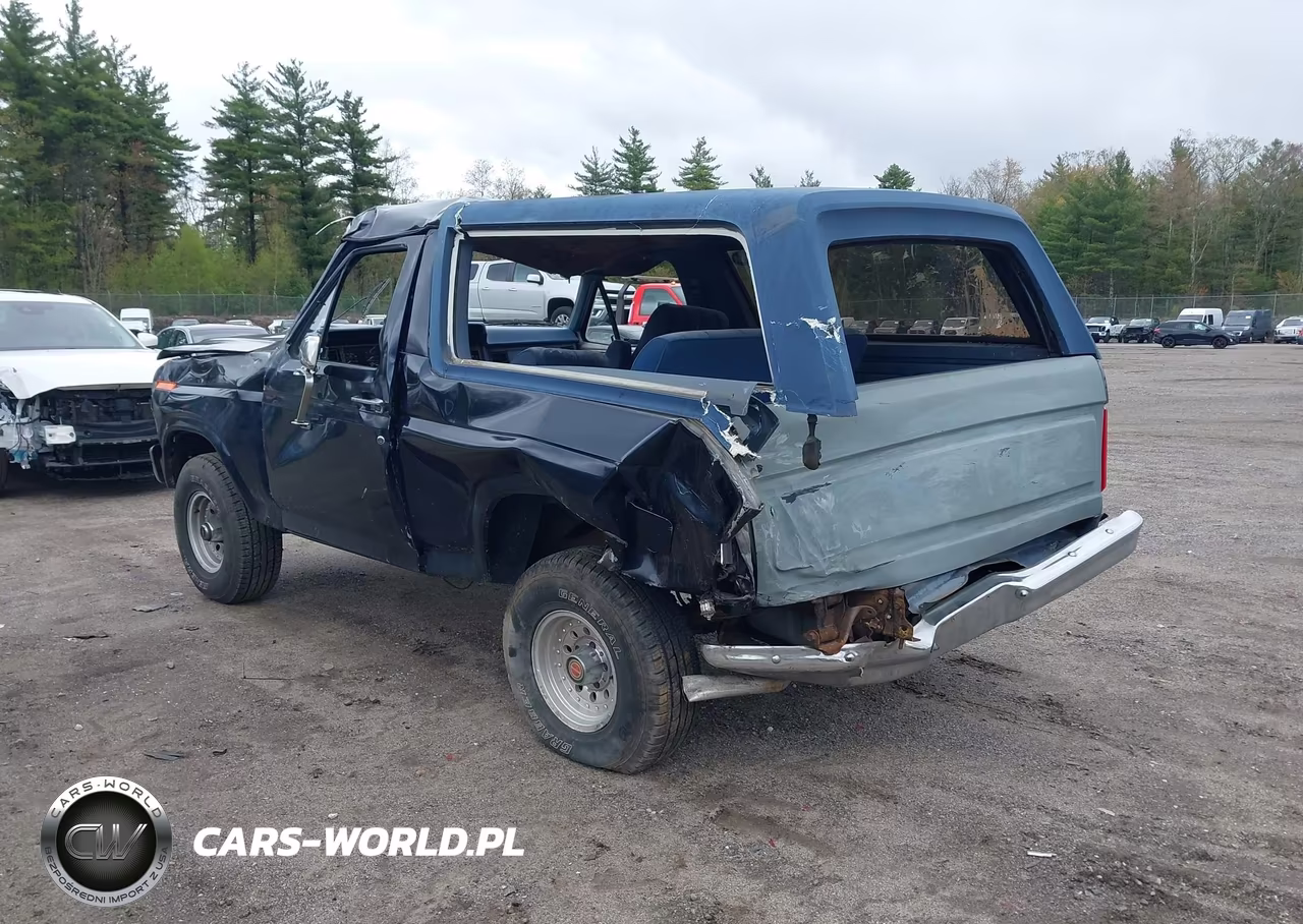 1986 Ford Bronco U100 VIN:1FMEU15HXGLB17197 - 3