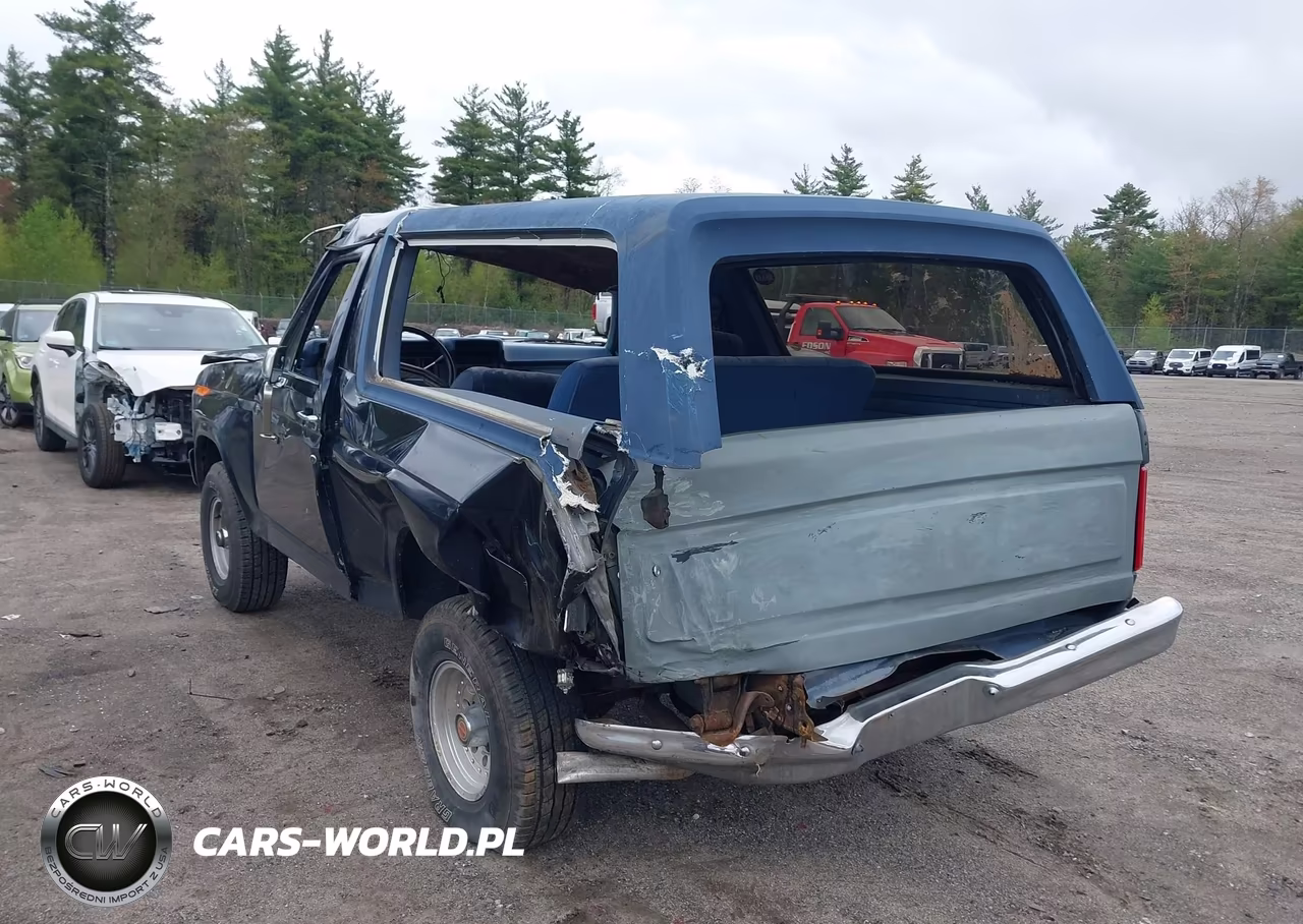 1986 Ford Bronco U100 VIN:1FMEU15HXGLB17197 - 6