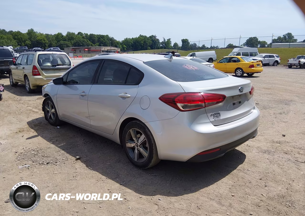 2018 Kia Forte Lx VIN:3KPFL4A78JE200461 - 3