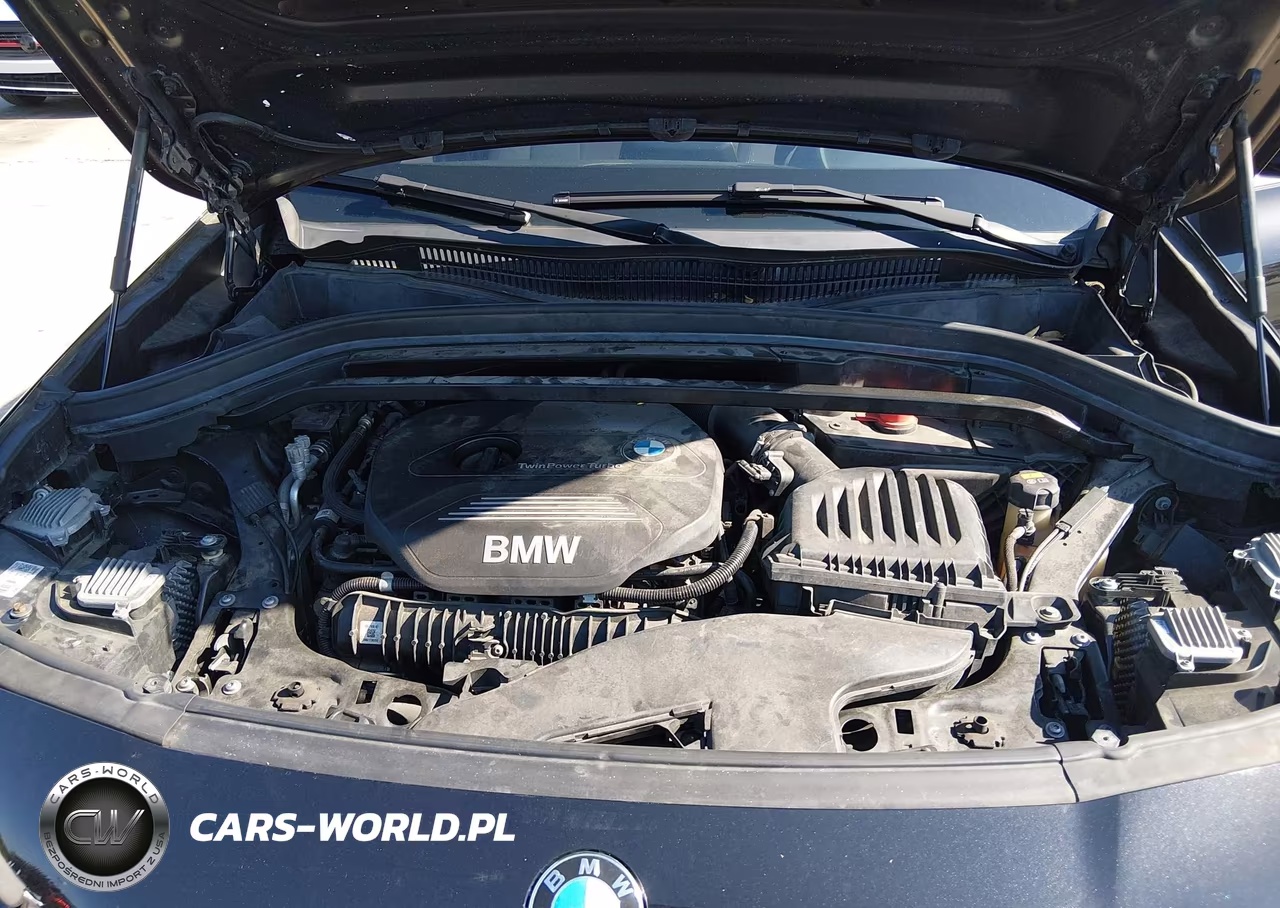 BMW X2 SDRIVE2 VIN:WBXYJ3C31JEB37773 - 10
